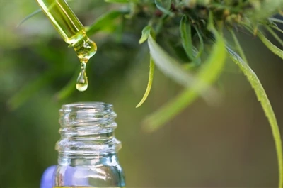 CBD vs. THC: Minden, amit tudnod kell